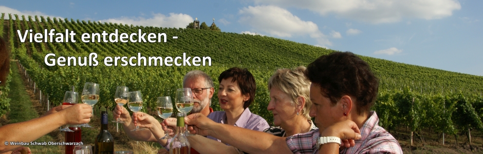 Weinbau Schwab Oberschwarzach
copyright: Weinbau Schwab Oberschwarzach