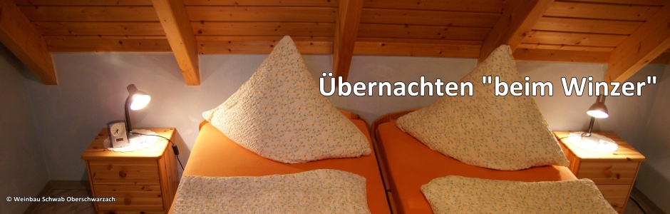 Weinbau Schwab Oberschwarzach
copyright: Weinbau Schwab Oberschwarzach