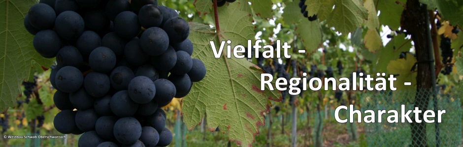 Weinbau Schwab Oberschwarzach
copyright: Weinbau Schwab Oberschwarzach