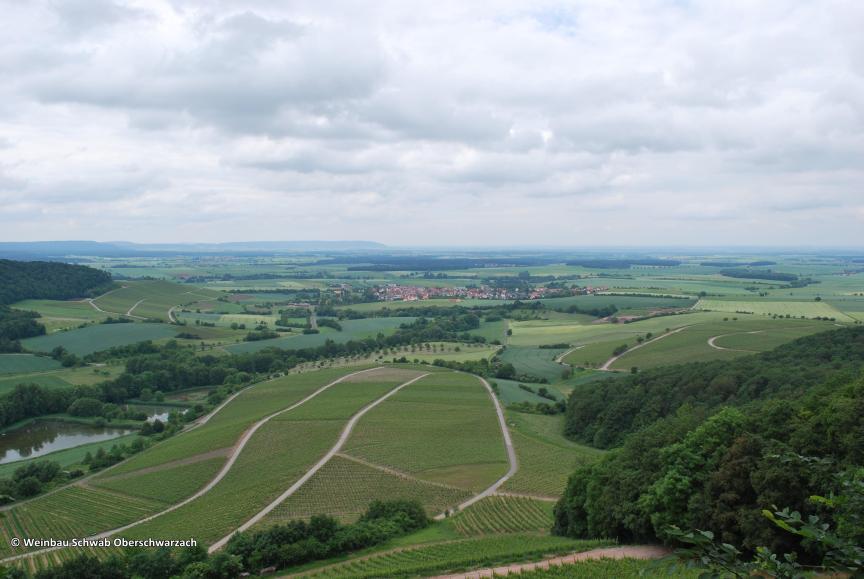 copyright Weinbau Schwab Oberschwarzach