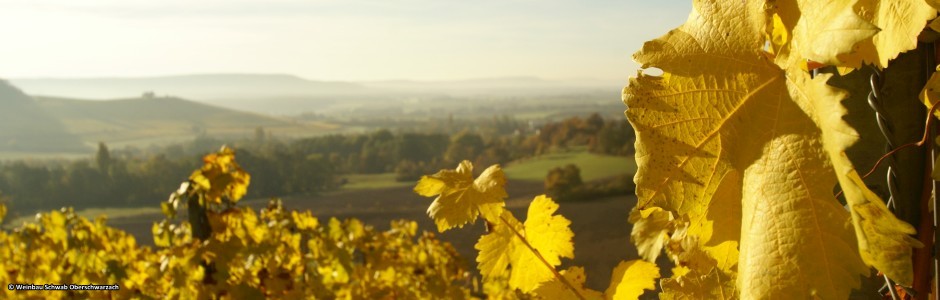 Winzerhof Schwab Oberschwarzach Herbst