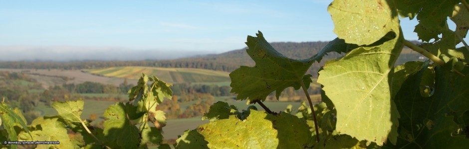 Winzerhof Schwab Oberschwarzach Herbst